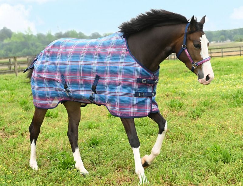 Kensington UV Protective Fly Sheet