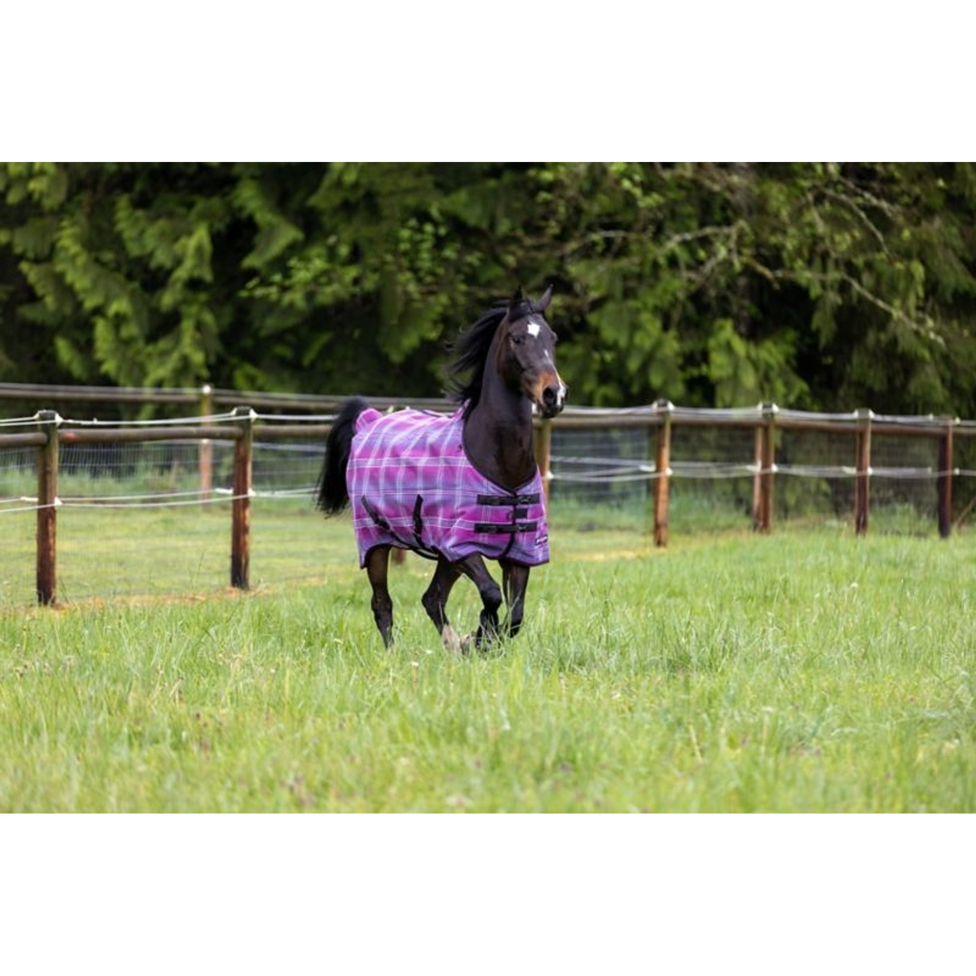 Kensington Pony Protective Fly Sheet