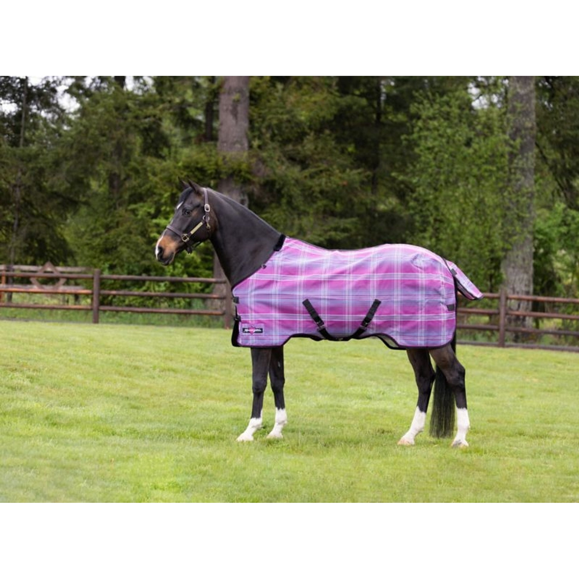 Kensington Pony Protective Fly Sheet
