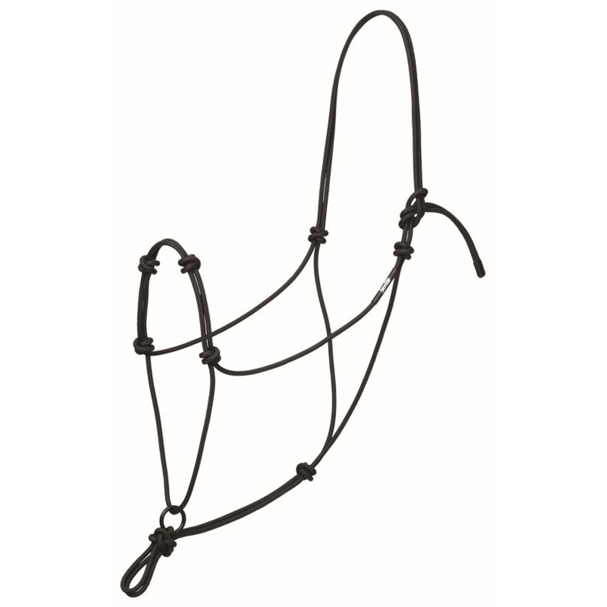 Av 4 Knot Transtn Rope Hltr Bk
