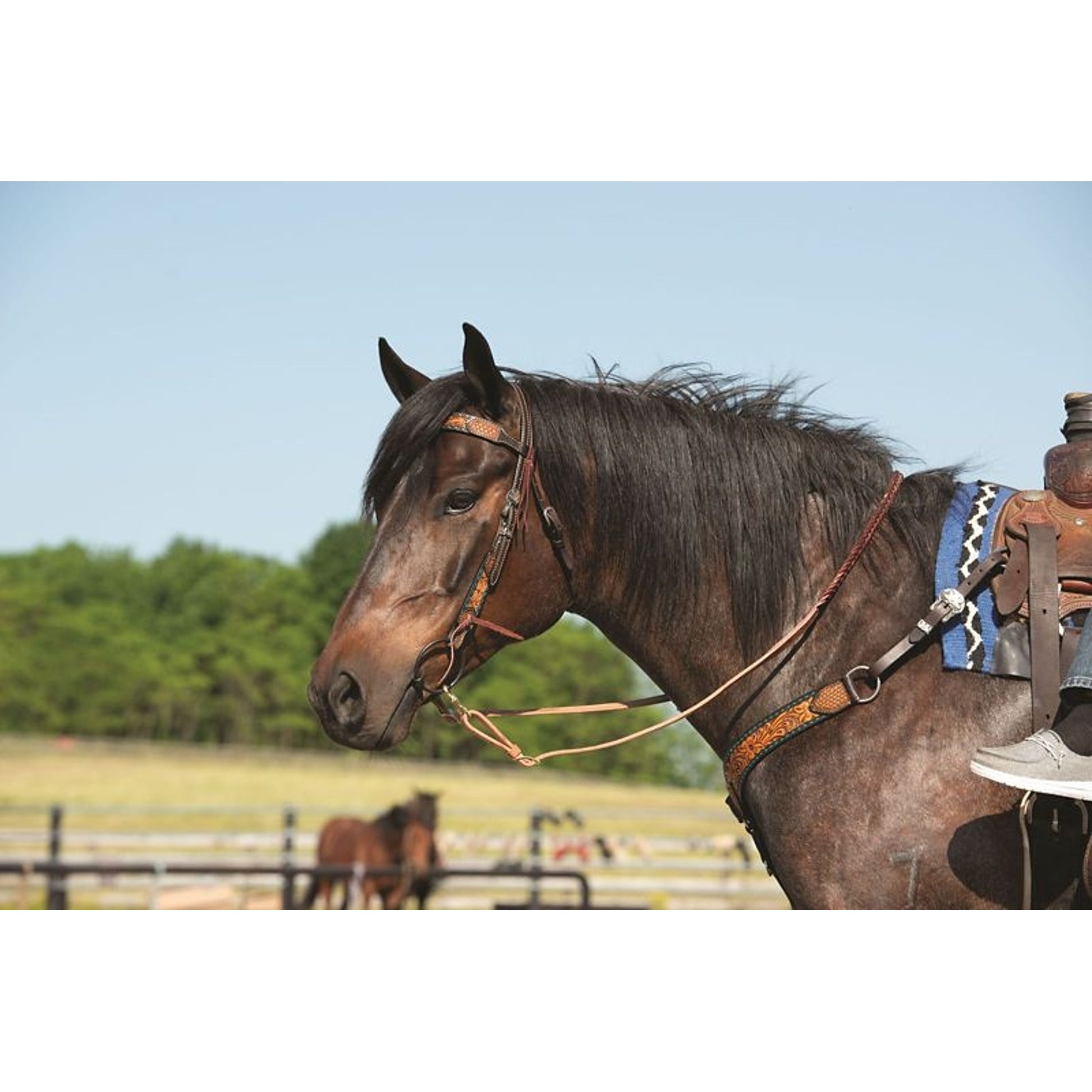 Floral Buckstitch B/Band Headstall