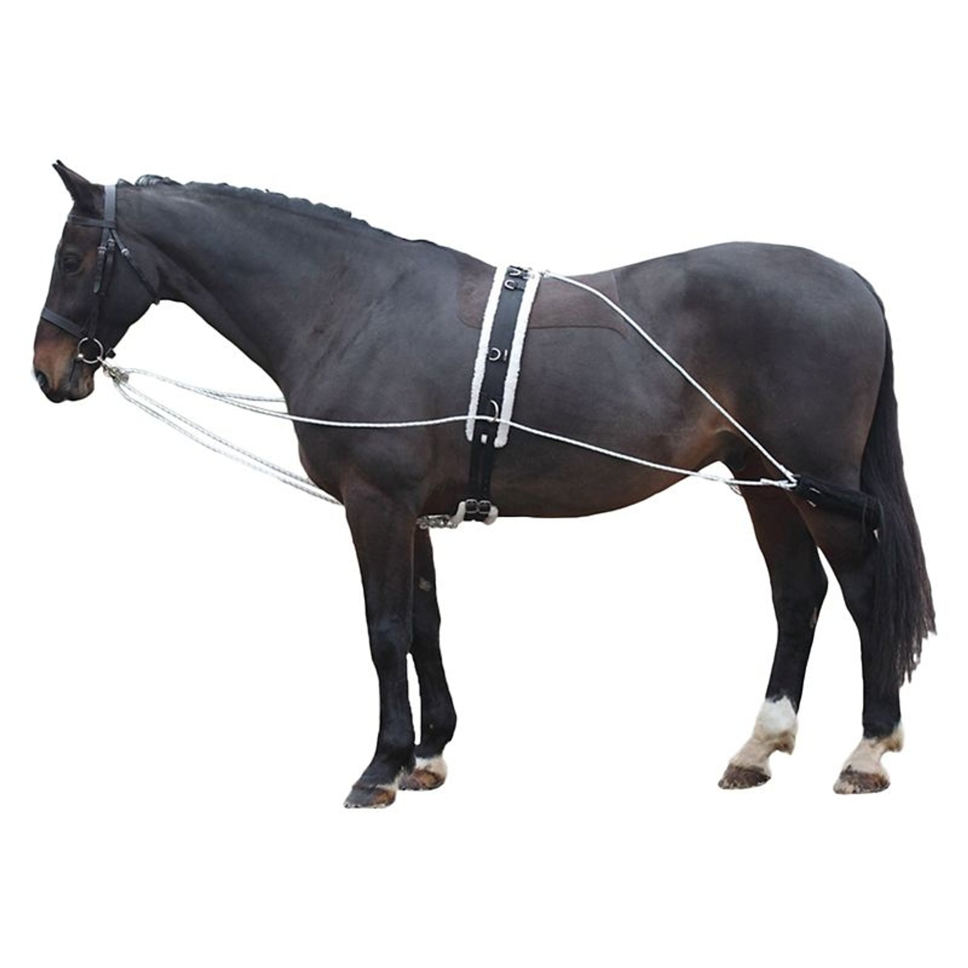 Shires Lunging Aid White