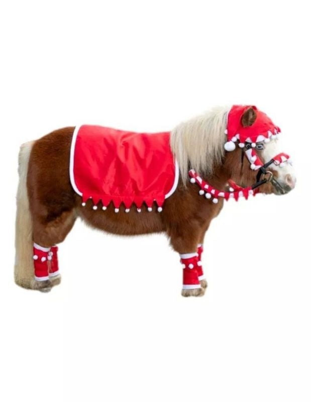 Tough1 Mini 5 Piece English Santa Set