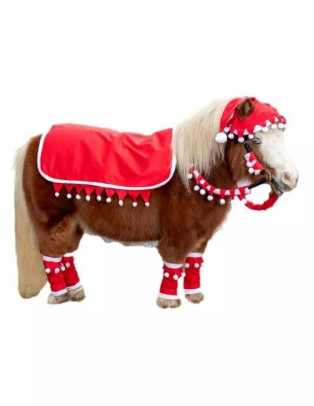 Tough1 Mini 5 Piece Western Santa Set
