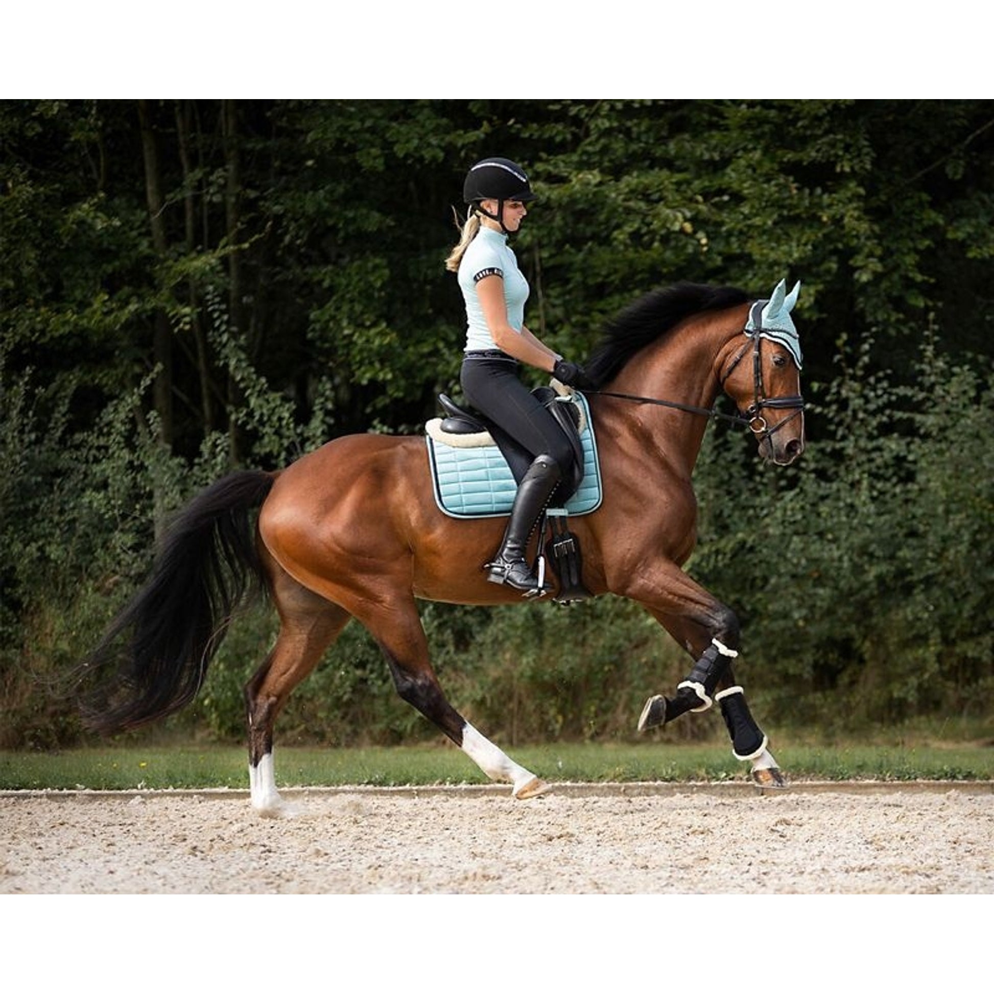 QHP Astana Leg Splint Boots