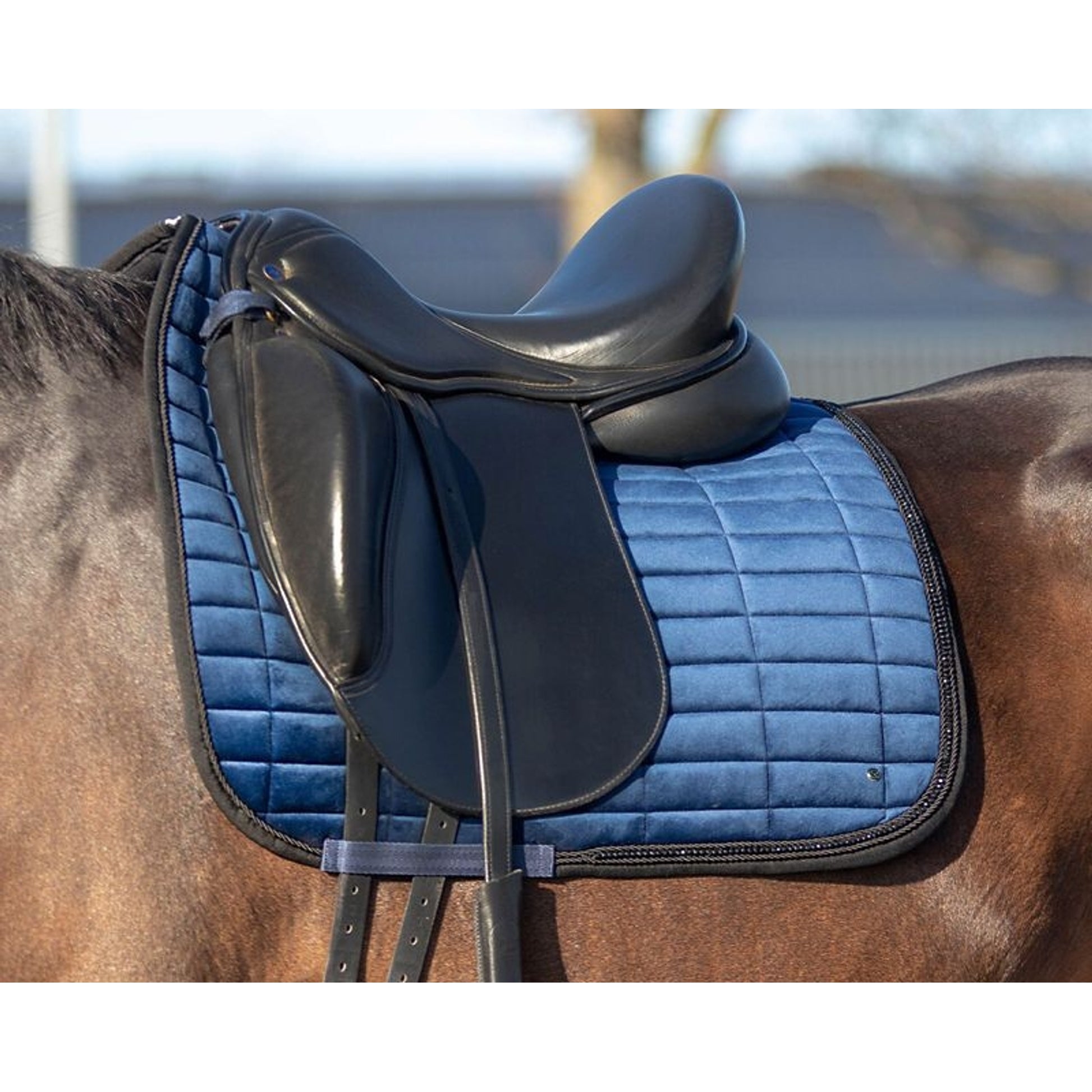 QHP Astana Crystal Dressage Pad