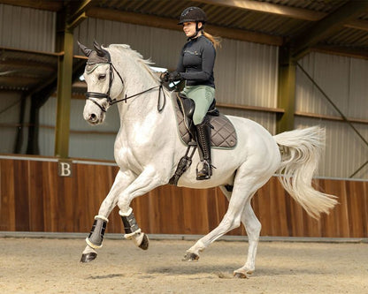 QHP Ladies Equestrian Dream FG Riding Tights