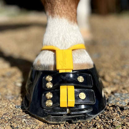 Scoot Boot Mud Strap Pack