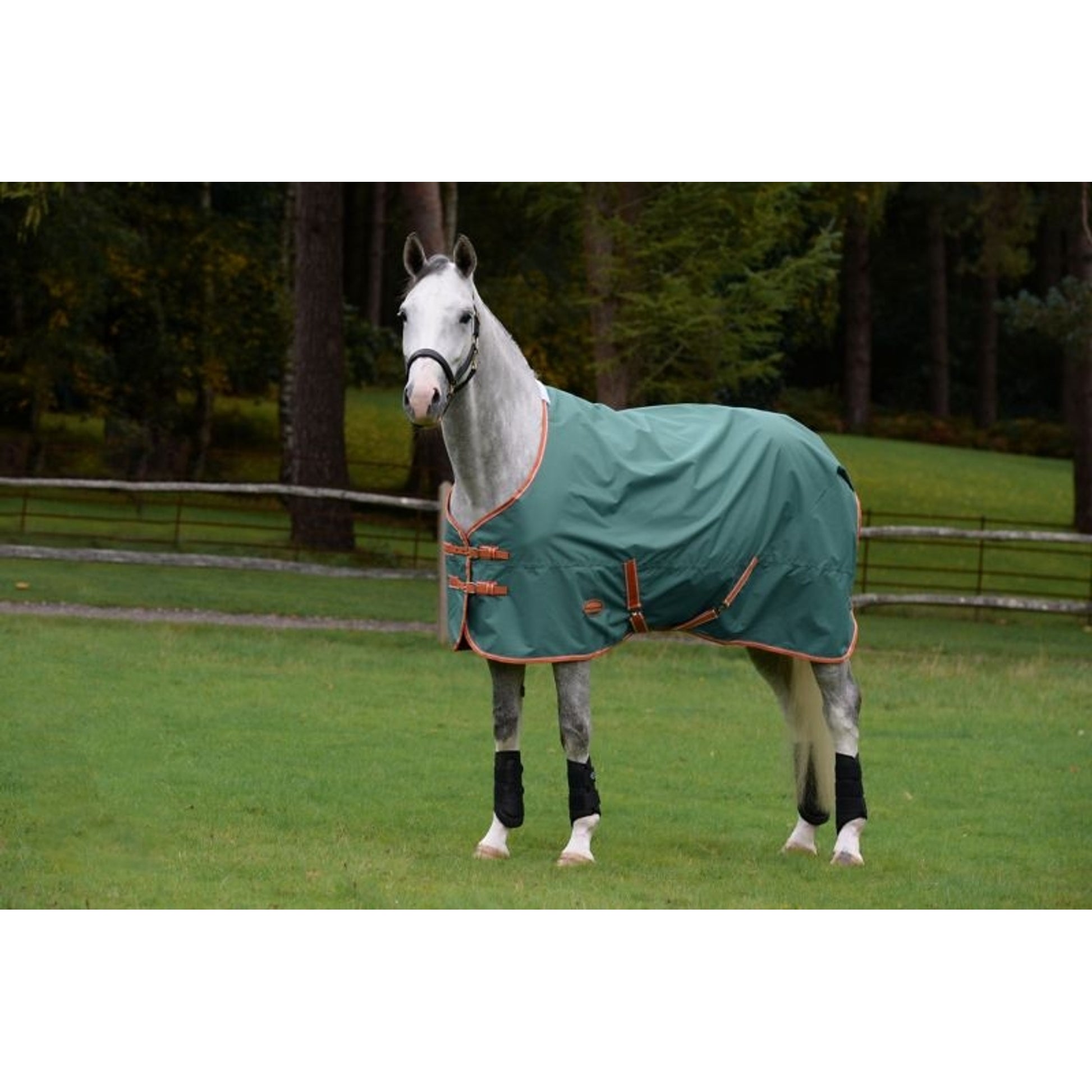 Weatherbeeta ComFiTec Tyro Standard Neck Lite Plus Turnout