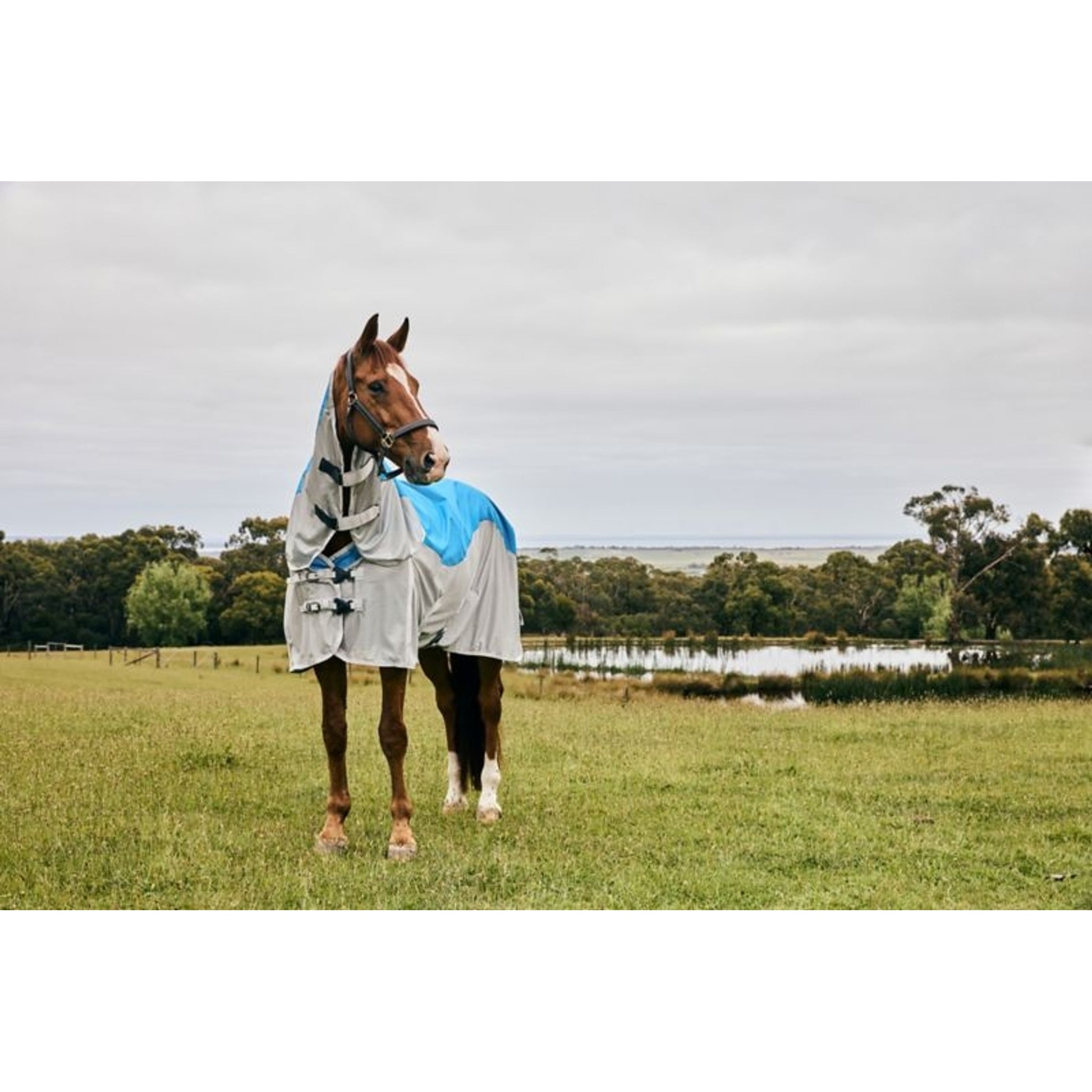 Weatherbeeta ComFiTec Dual Shield Detach-A-Neck Fly Sheet