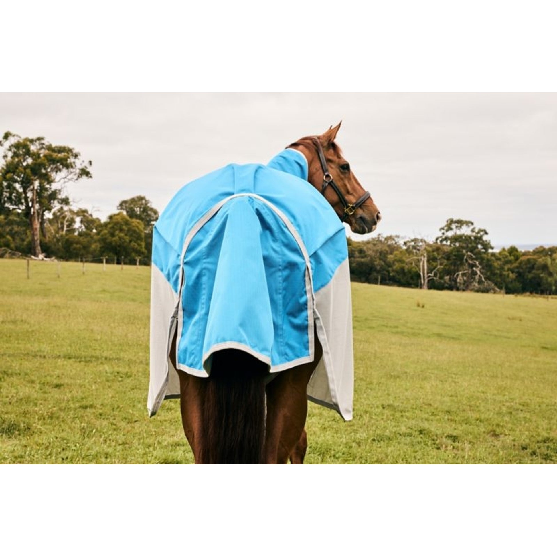 Weatherbeeta ComFiTec Dual Shield Detach-A-Neck Fly Sheet