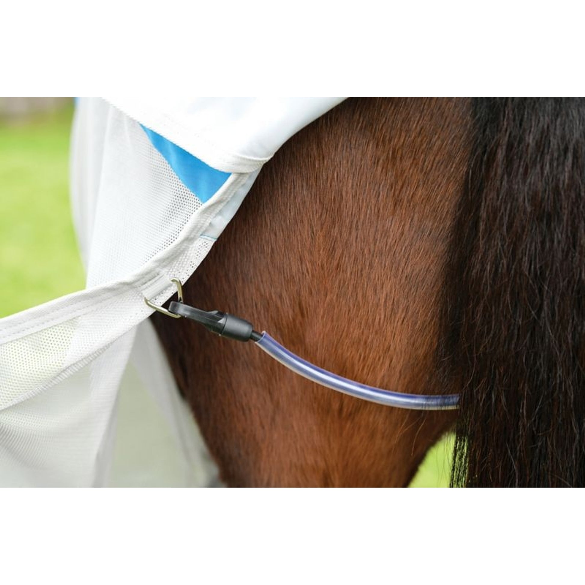 Weatherbeeta ComFiTec Dual Shield Detach-A-Neck Fly Sheet