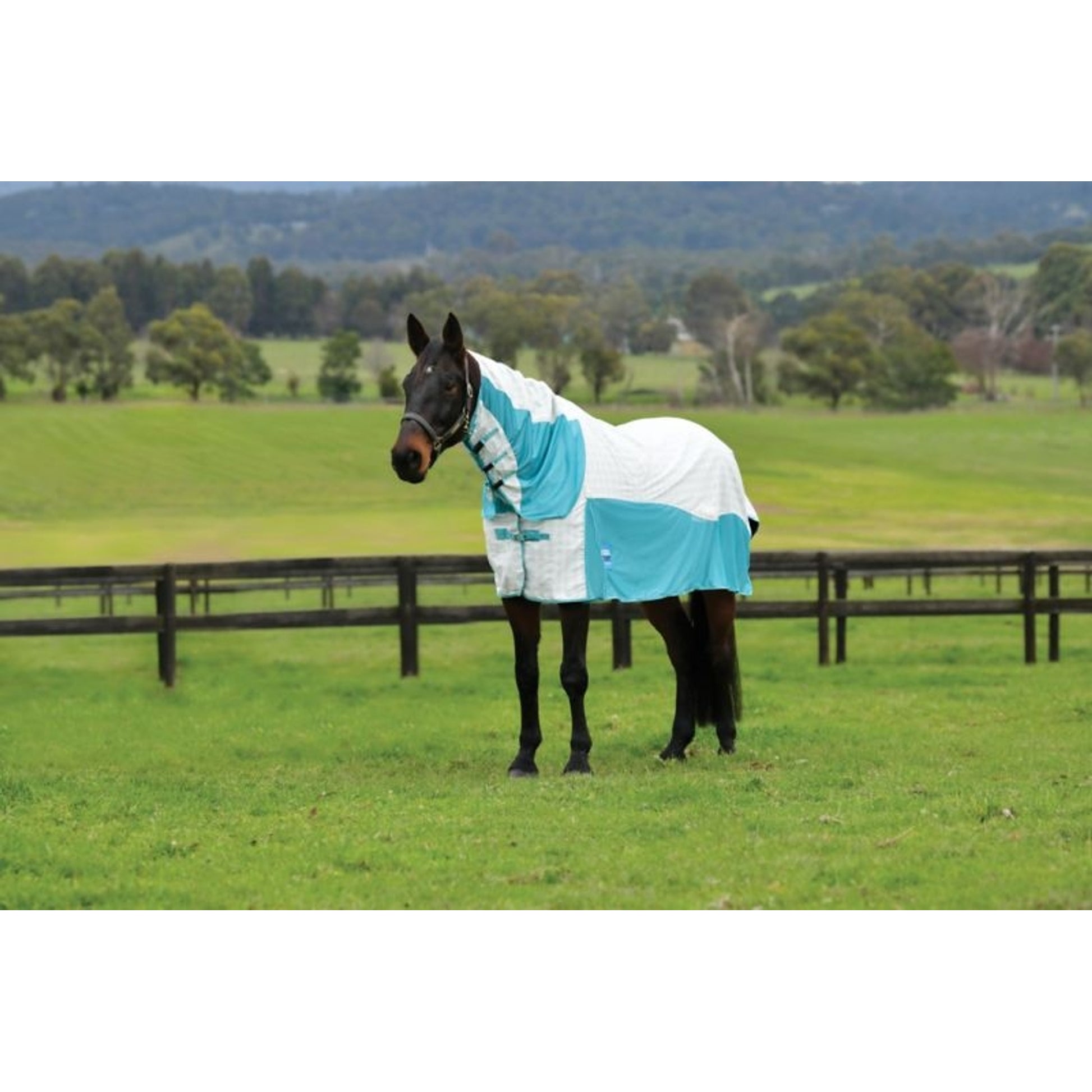 Kool Coat Cotton Airstream II DAN