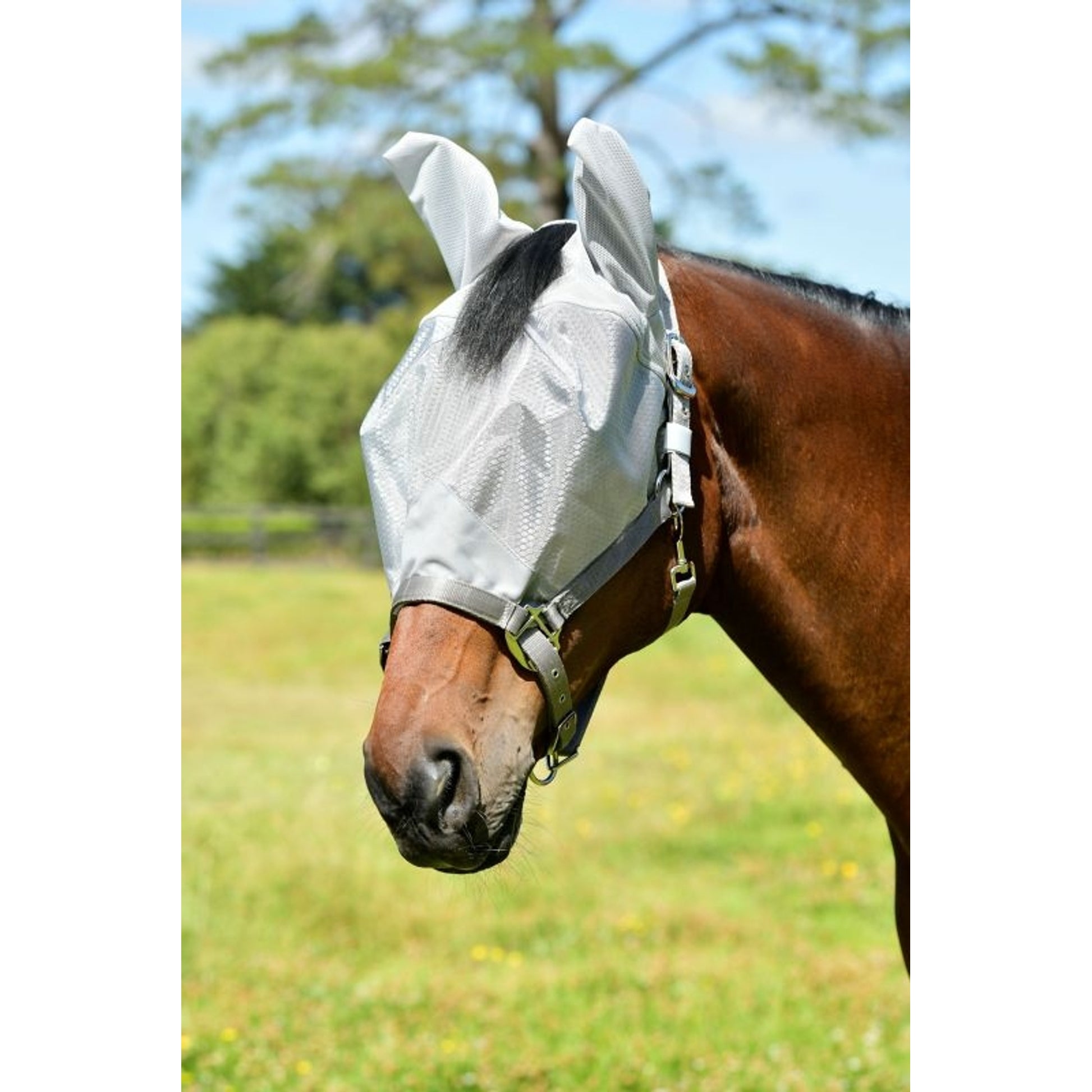 Weatherbeeta ComFiTec Hexi Shield Dual Fly Mask