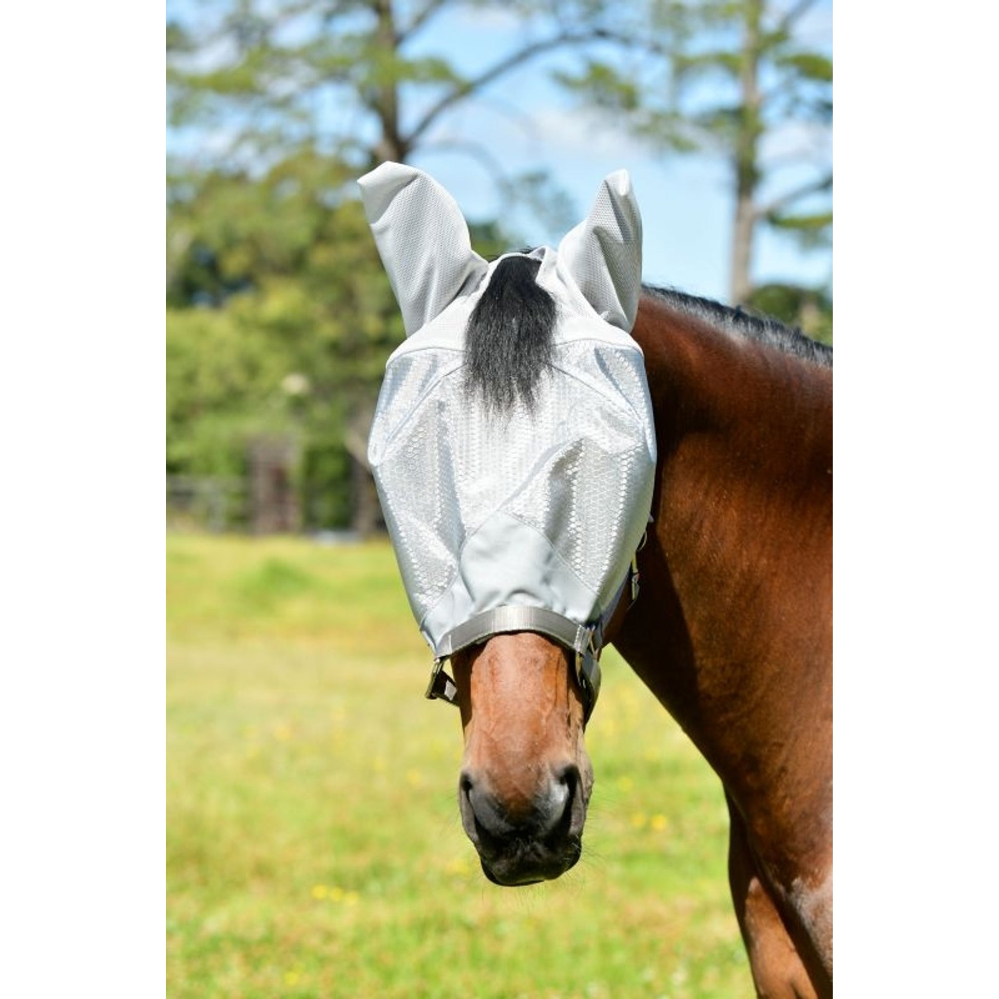 Weatherbeeta ComFiTec Hexi Shield Dual Fly Mask