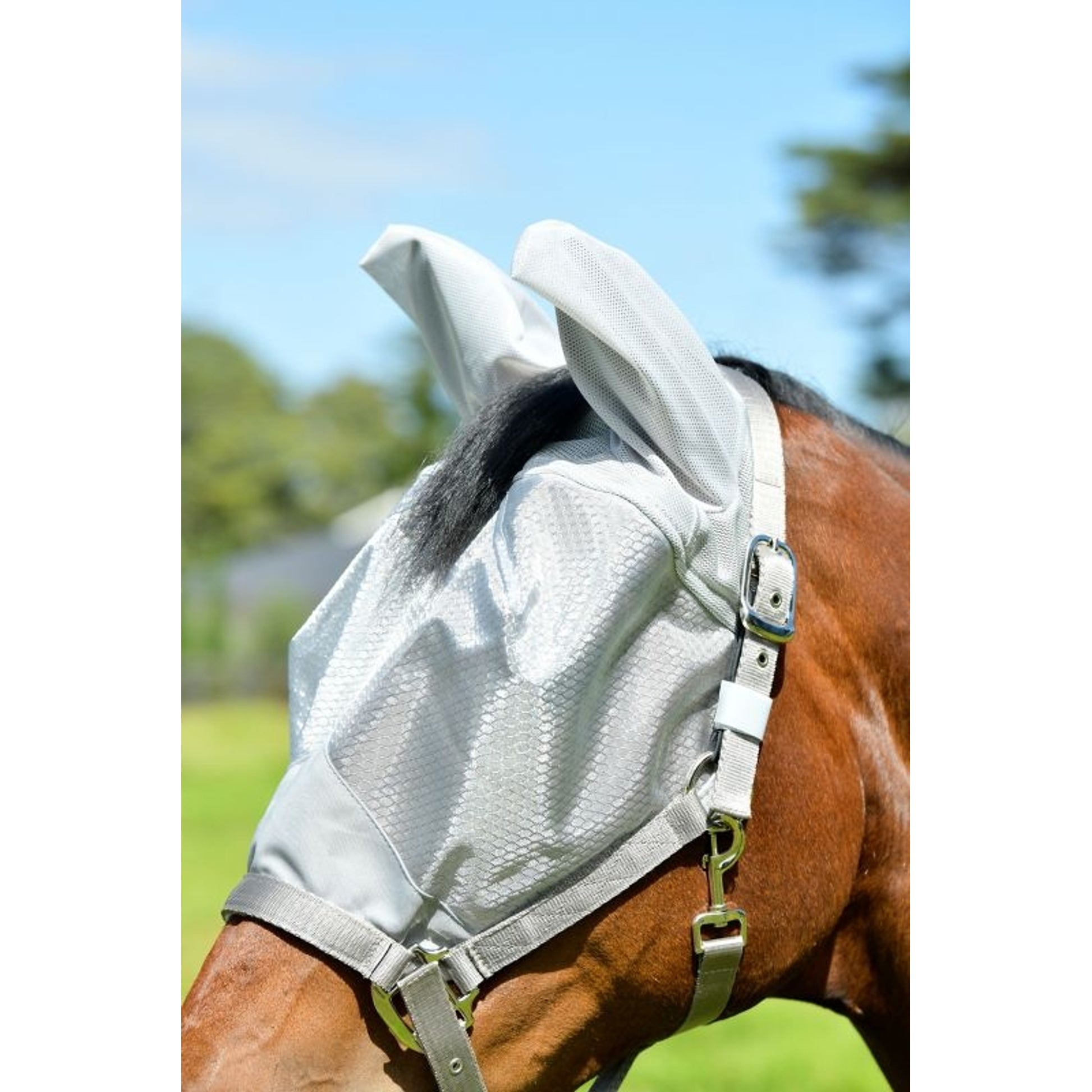 Weatherbeeta ComFiTec Hexi Shield Dual Fly Mask