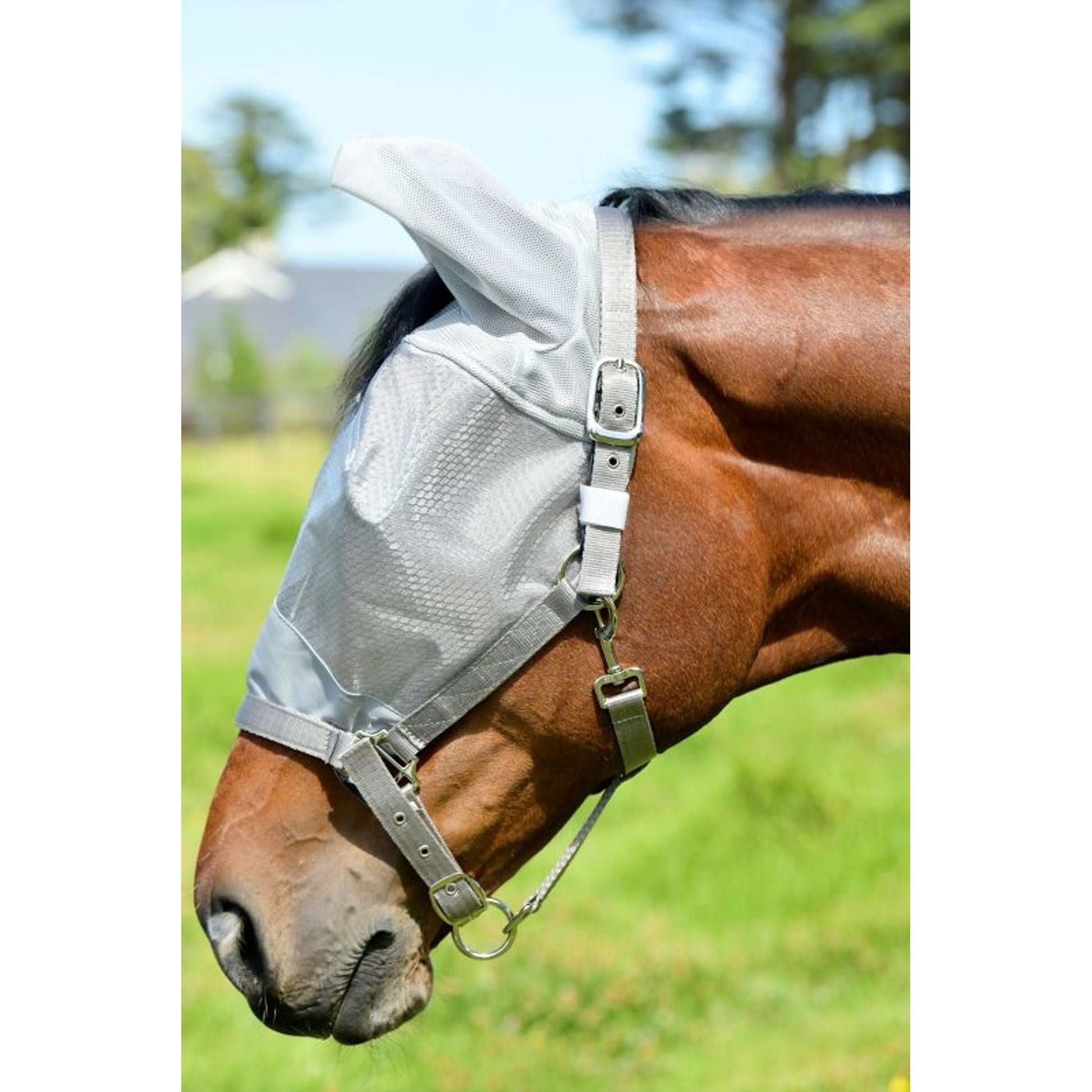Weatherbeeta ComFiTec Hexi Shield Dual Fly Mask
