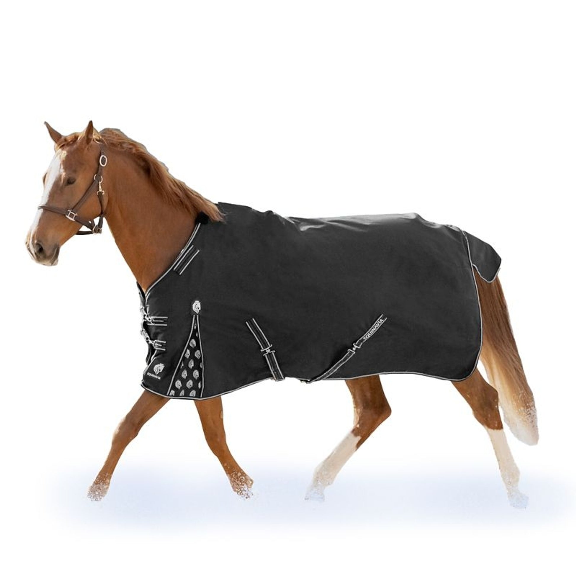 Equinavia Norse Turnout Sheet