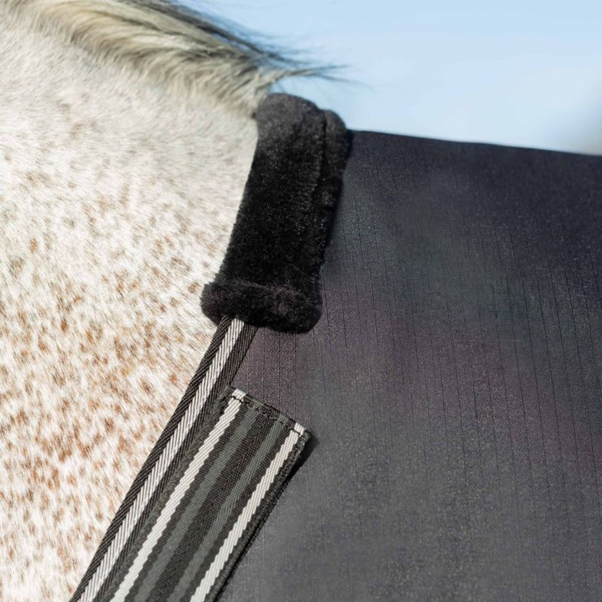 Equinavia Norse Turnout Sheet