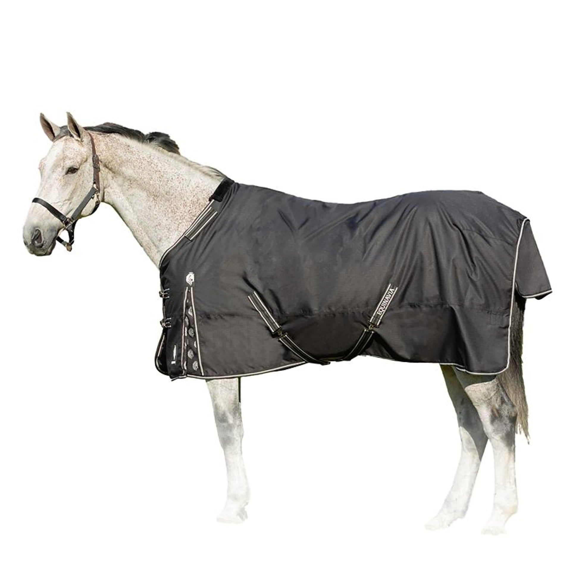 Equinavia Norse MidWeight TO Blanket 200g