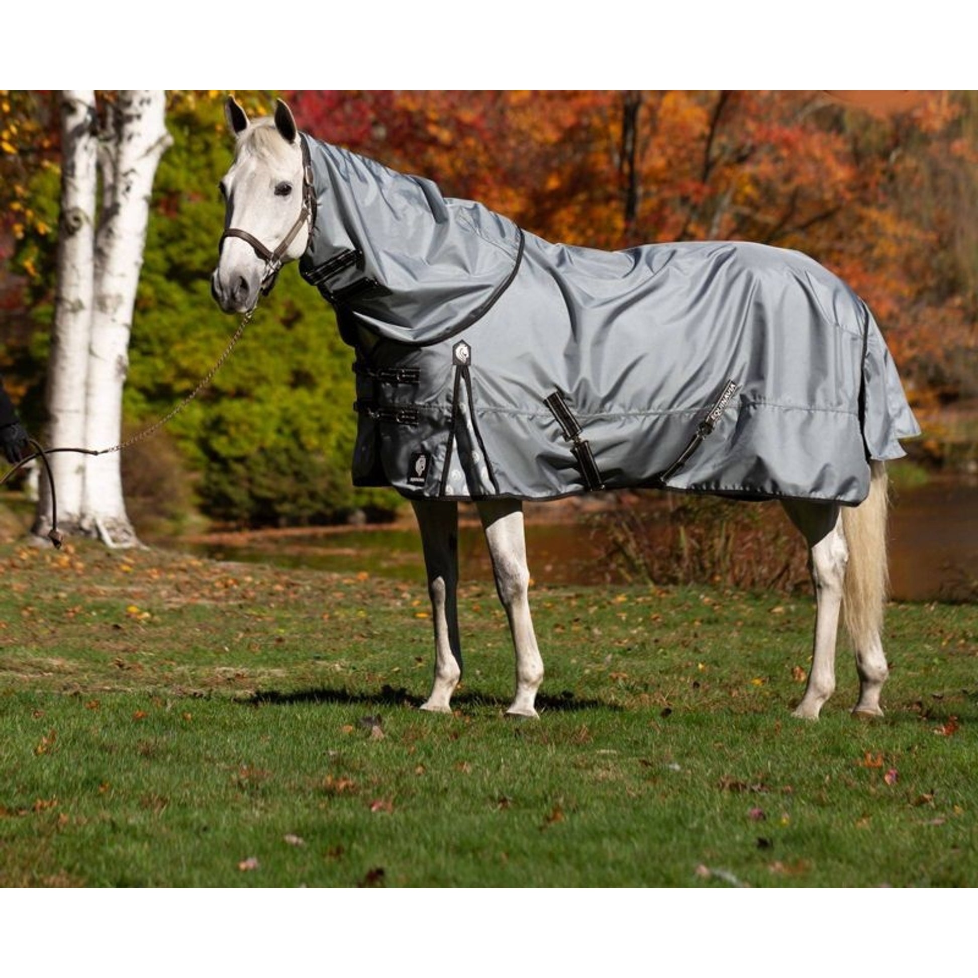 Equinavia Thunder 360 DAN TO 200g
