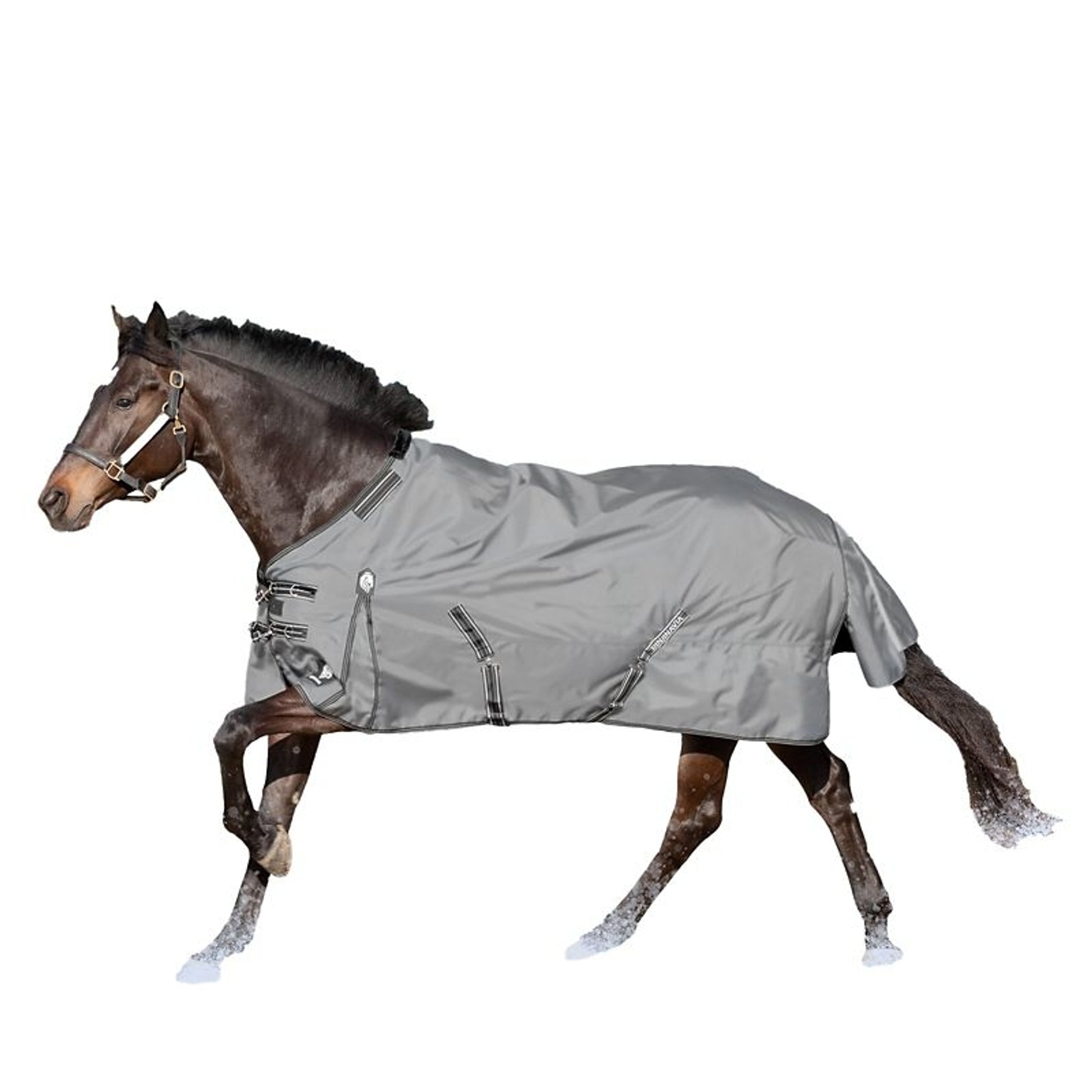 Equinavia Arktis TO Sheet