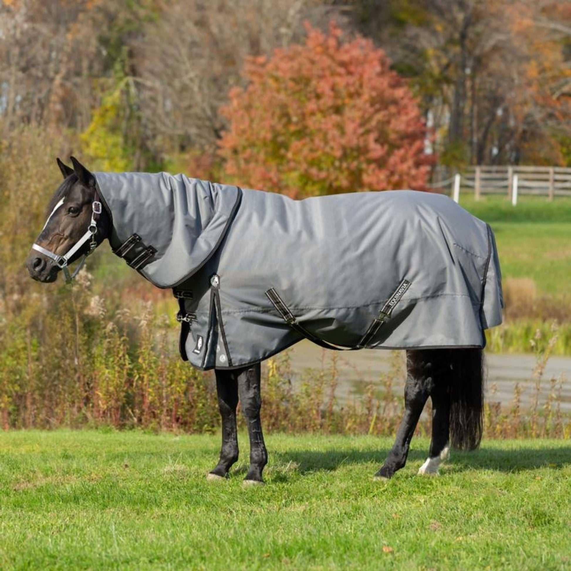 Equinavia Arktis TO Sheet