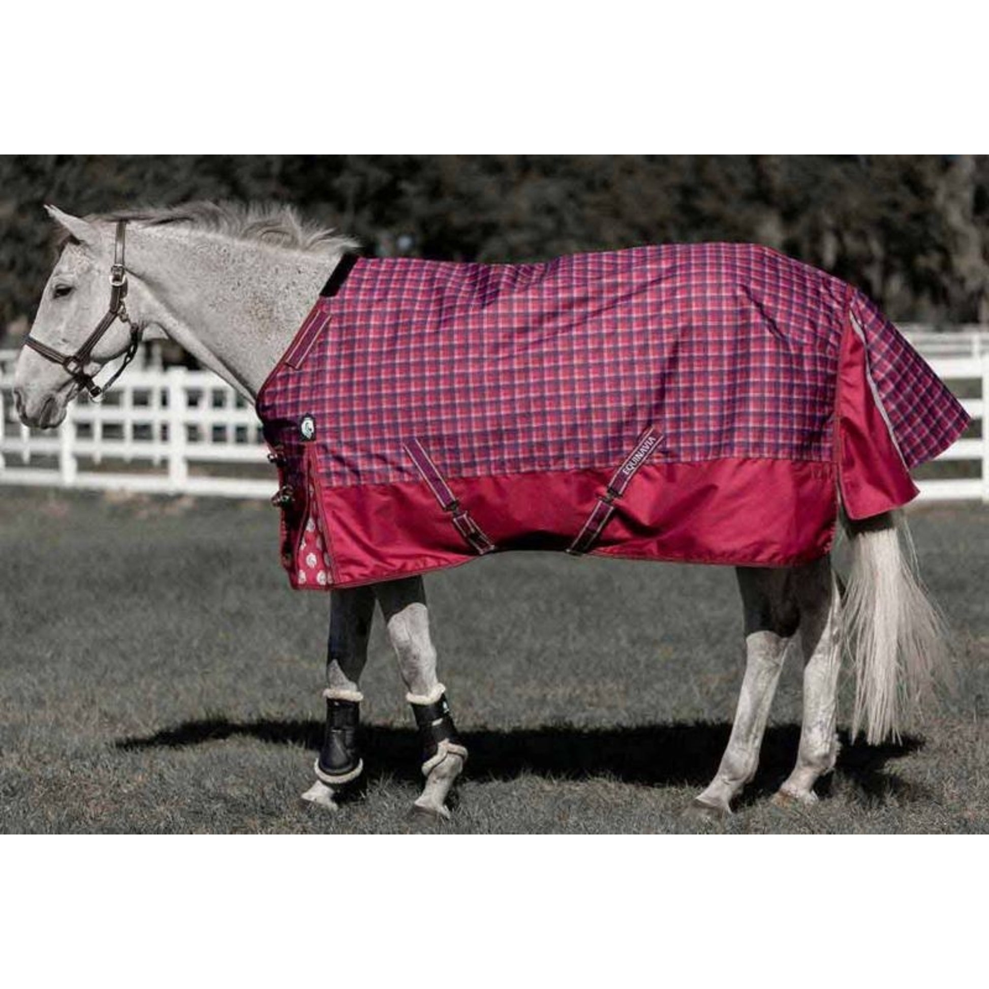 Equinavia Arktis Regular Neck Mid Weight Turnout Blanket 200g