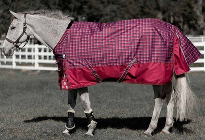 Equinavia Arktis Regular Neck Mid Weight Turnout Blanket 200g