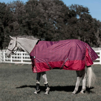 Equinavia Arktis Turnout Blanket 300g