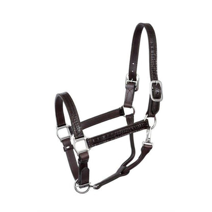 Perris English Croc Halter