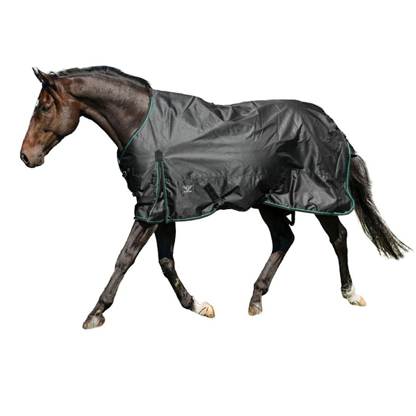 TE058508_BLK_01_P.jpg
