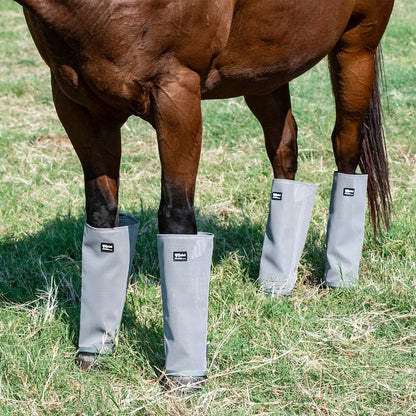 Cashel Leg Guards 4