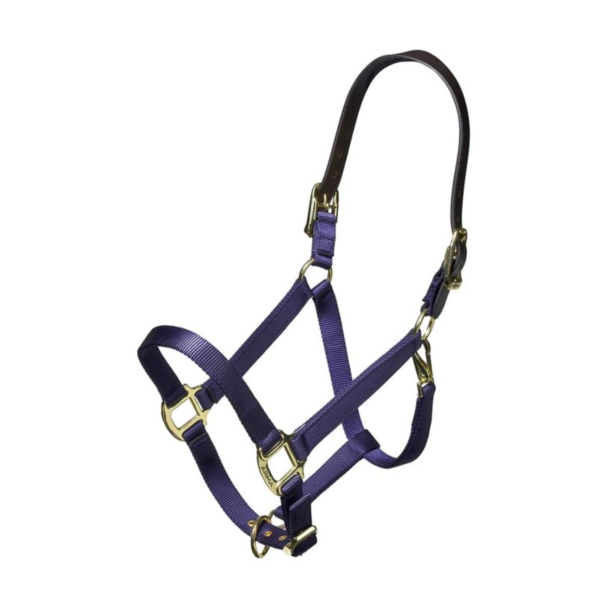 ARMA Nylon Halter Leather Hd Strap