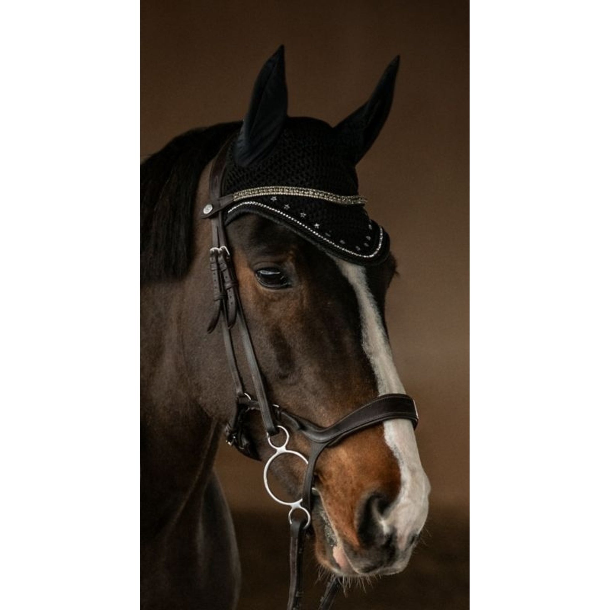Dapplebay Shine On Fly Veil