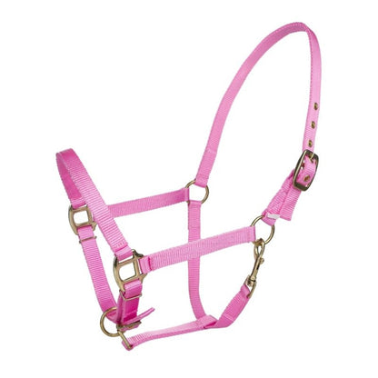 Tabelo Arab Nylon Halter with Snap