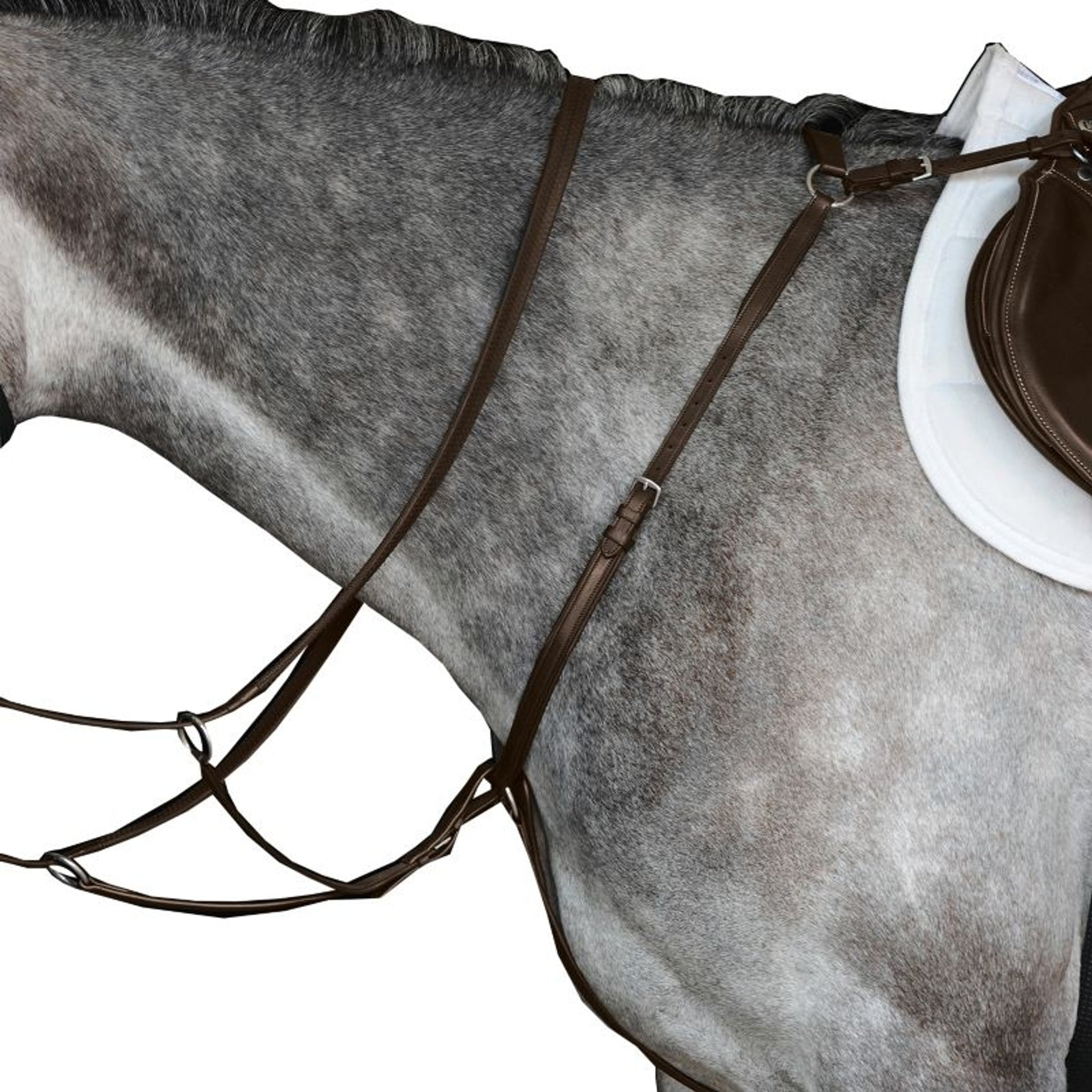 Collegiate Hunter Breast Plate