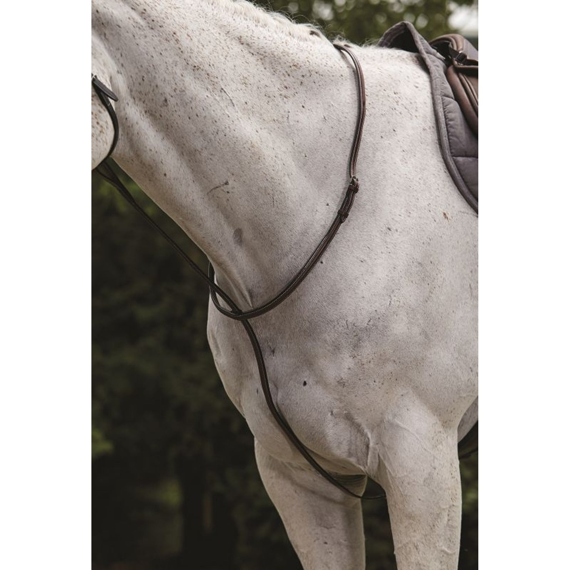 Collegiate Raised Standing Martingale
