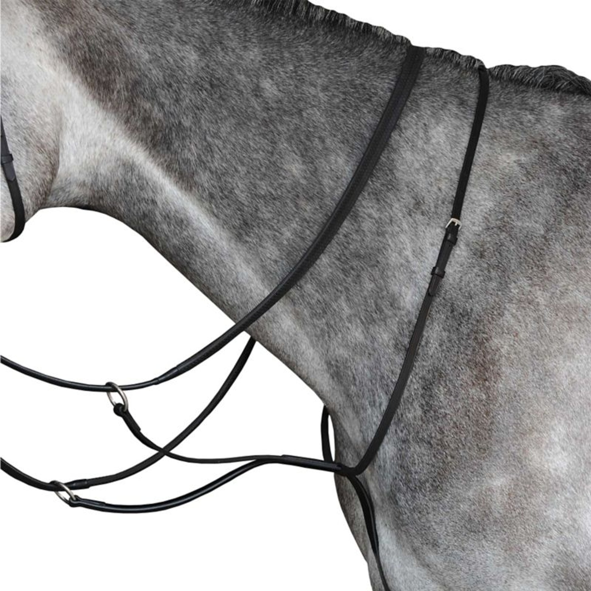 Collegiate Running Martingale