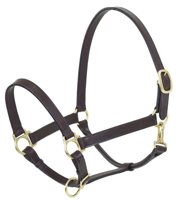 Camelot Stable Halter Draft Brn