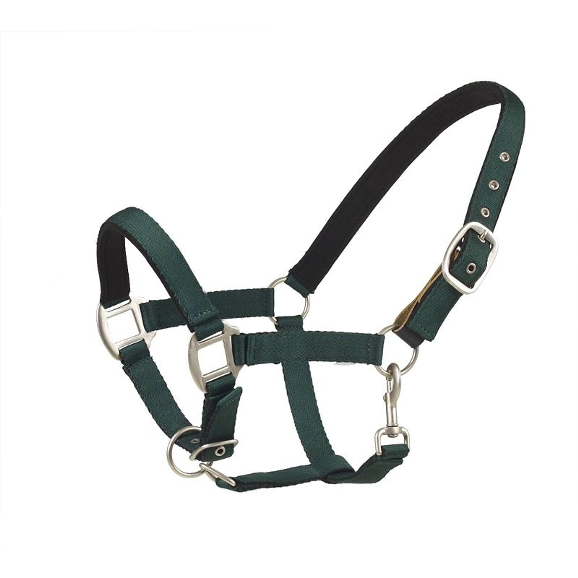 Centaur Solid Cushion Padded Breakaway Halter