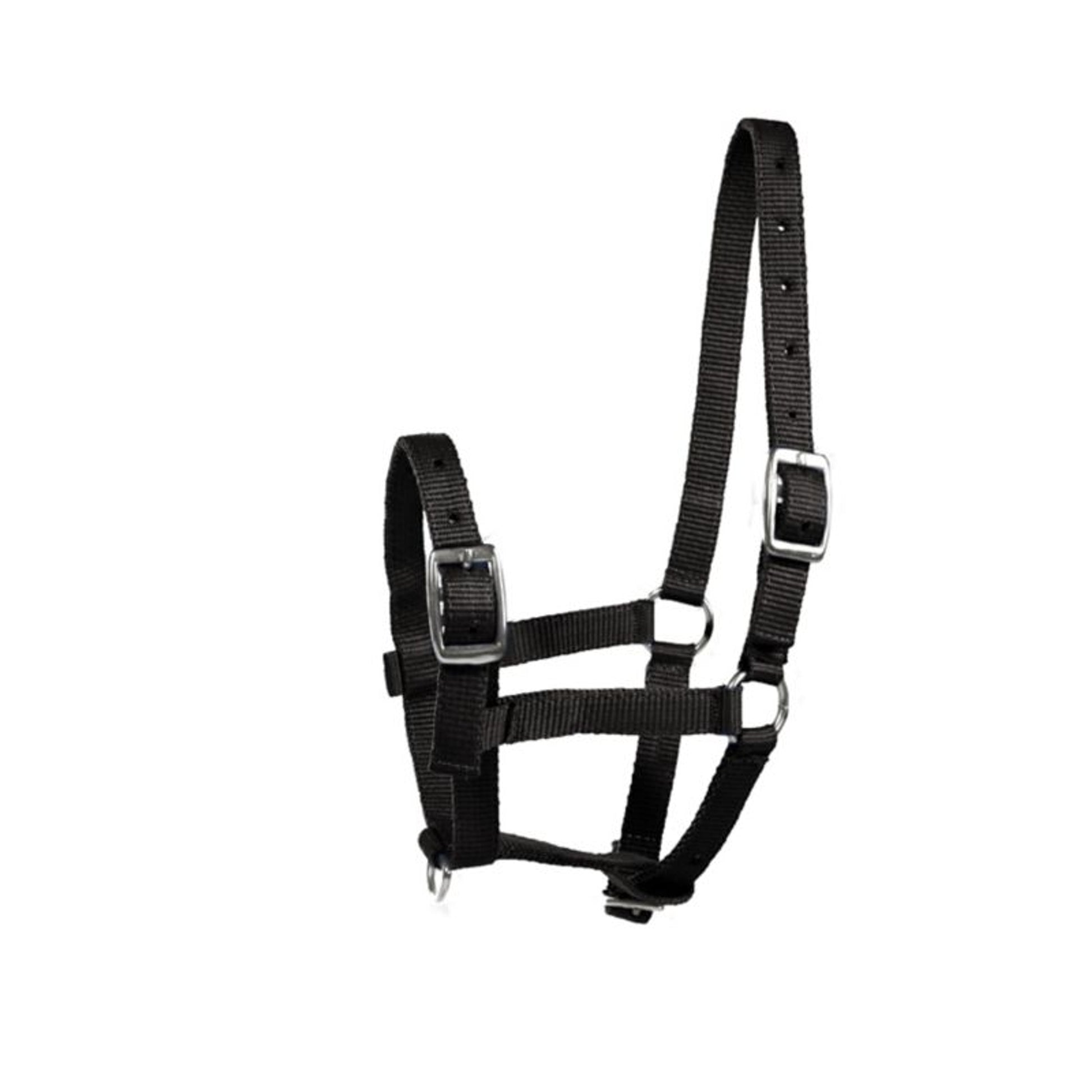HorZe Spirit Foal Halter Full Blue