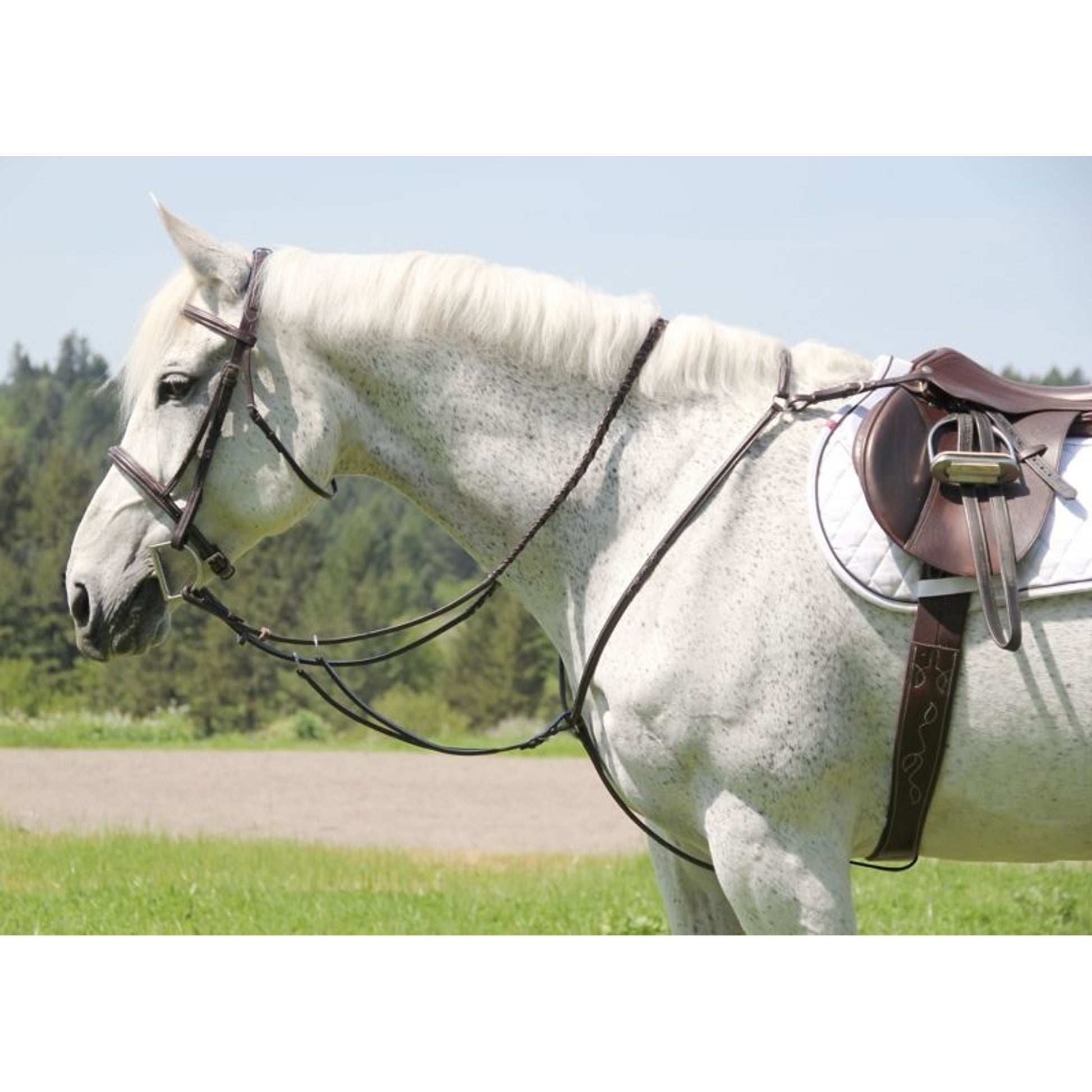 Silverleaf Squ Breastplate/Run Attach Cob Walnut
