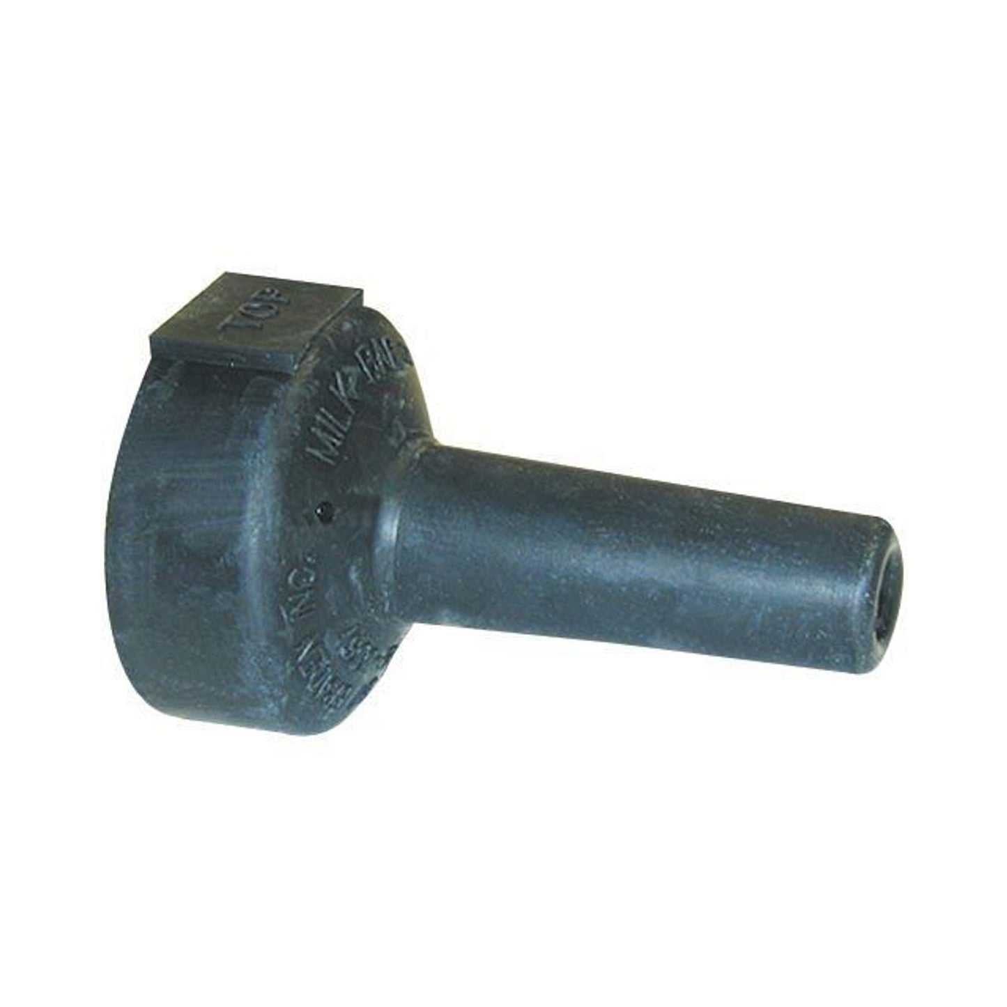 TH1297937.jpg