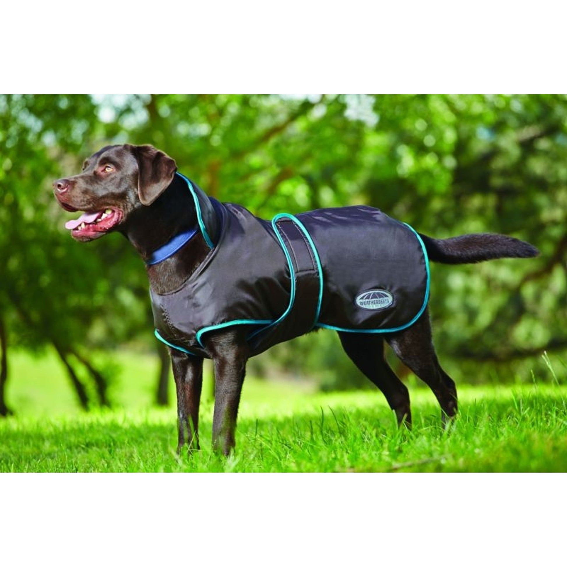 Weatherbeeta 420D Dog Windbreaker Fleece Lined with Belly Wrap