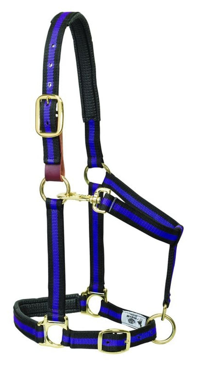 Weaver Striped Padded Breakaway Halter