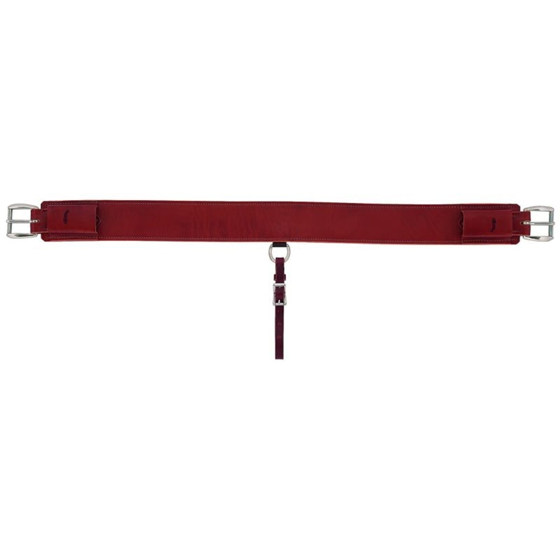 Weaver Heavy-Duty 3in Back Cinch