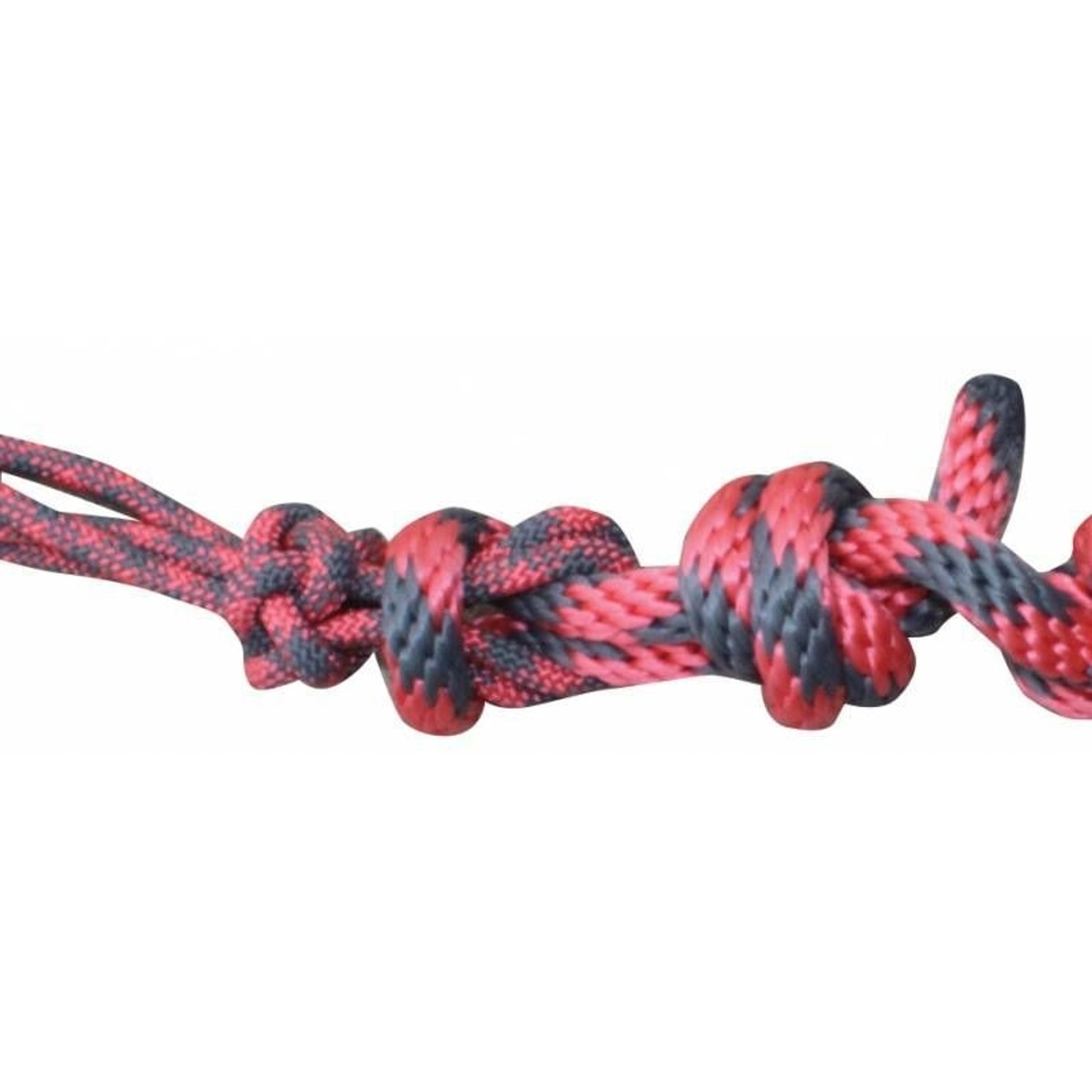 Professionals Choice Rope Halter with Lead