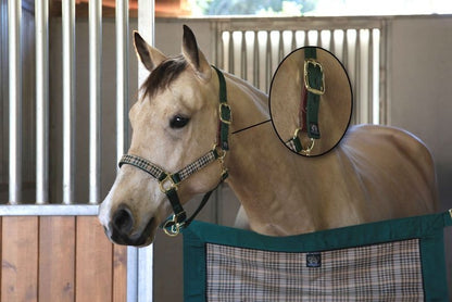 Kensington Breakaway Halter