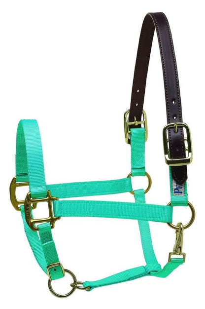 Perris Nylon Safety Halter